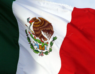 Miniatura: Meksyk: po katastrofie szef wywiadu szefem...