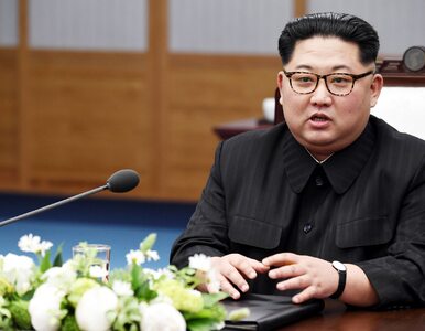 Miniatura: CSIS: Korea Północna utrzymuje co najmniej...