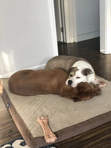 Roman i Spanky 