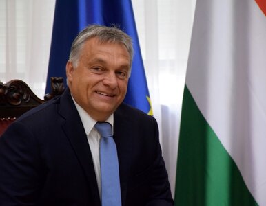 Miniatura: Orban: Nielegalni migranci powinni być...