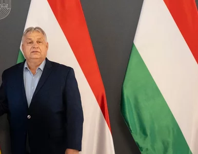 Miniatura: Tusk uderzył w Orbána, doczekał się...