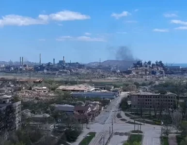 Miniatura: Pieszo uciekł wraz z psem z Mariupola....