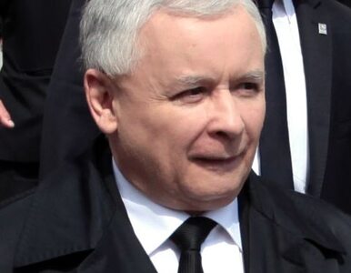 Miniatura: Kaczyński: reforma Tuska jest tchórzliwa....