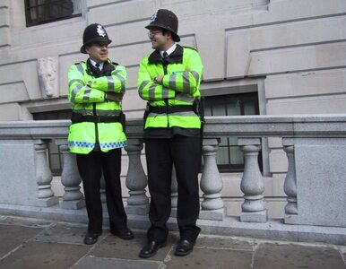 Miniatura: Pobili Polkę w Londynie. Policja szuka...