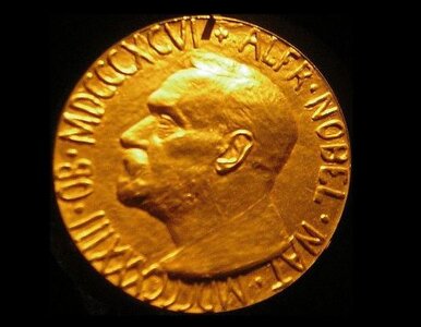 Miniatura: Pokojowy Nobel dla kobiet. "Walczyły bez...