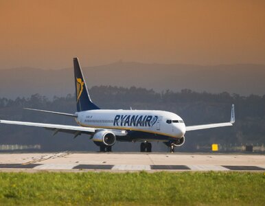 Miniatura: Ryanair „zlikwiduje milion miejsc”. Nie...