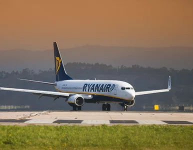 Miniatura: Ryanair „zlikwiduje milion miejsc”. Nie...