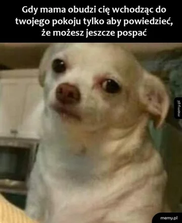 Mem z okazji Dnia Matki 