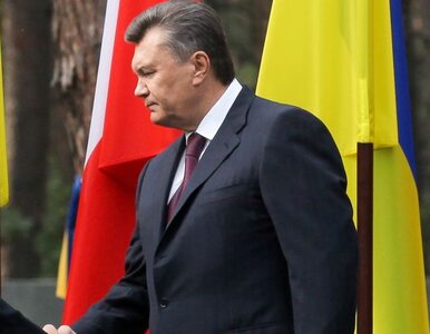 Miniatura: Tymoszenko: wybory już sfałszowano