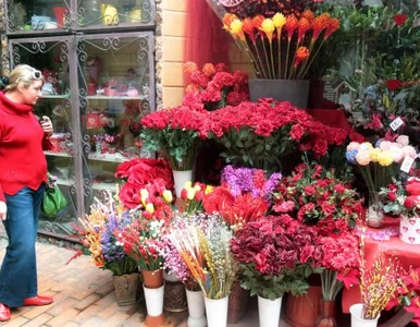 Miniatura: Patroni wina i miłości pogodzili się w...