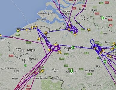 Miniatura: Belgia: Lotnisko w Brukseli zamknięte....