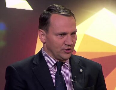 Miniatura: Sikorski: Powinniśmy zdać sobie sprawę, w...