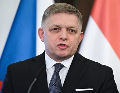 Miniatura: Postrzelono premiera Słowacji. Ministrowie...