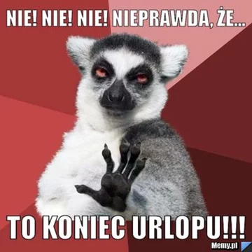 Dzień wolny? Internauci odpowiadają memami 