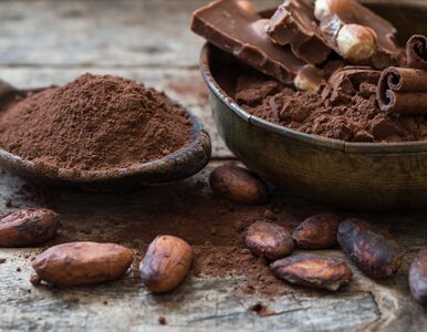 Miniatura: Łuska kakaowa metodą na insulinooporność?