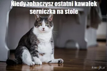 Mem na Wigilię 