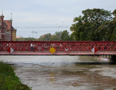 Miniatura: Kierowcy we Wrocławiu wściekli. Jacek...