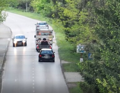 Miniatura: Kierowcy ostrzegali się przed policją...