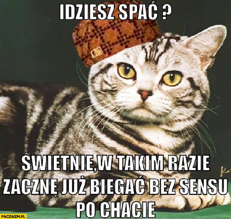 Mem z kotem 