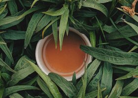 Miniatura: Co wiesz o herbacie? Quiz dla smakoszy...