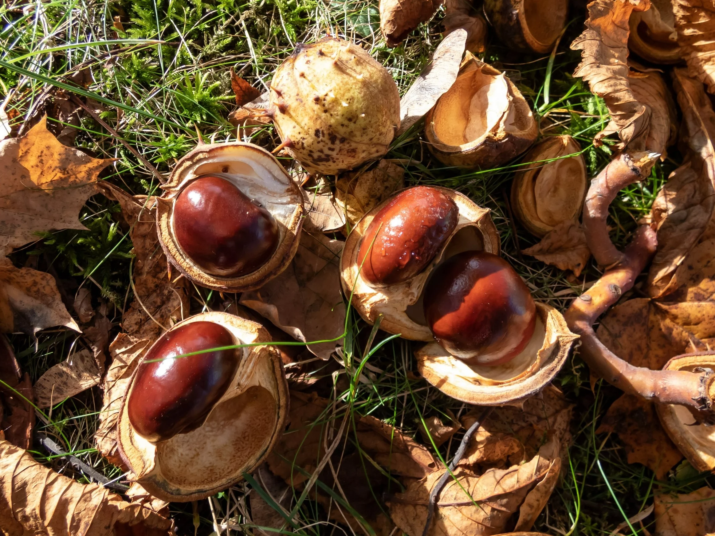 Quiz z wiedzy ogólnej. Pytamy o hasła na literę „K”