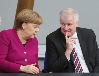 Miniatura: Dymisja szefa MSW po konflikcie z Merkel....