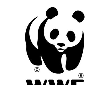 Miniatura: Ekolodzy z WWF oskarżeni o prześladowanie...