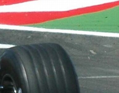 Miniatura: F1: Alonso najszybszy na treningu w Monte...