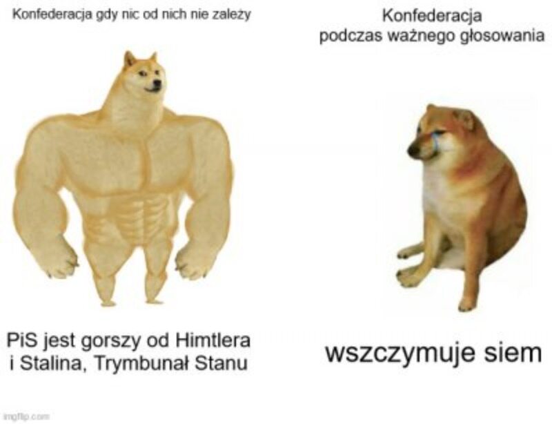 Mem po głosowaniu ws. lex TVN 