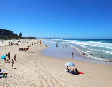 Miniatura: Atak rekina na plaży. Tłum rzucił się na...