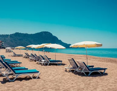 Miniatura: Ten kierunek jest numerem jeden. Teraz all...