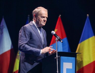 Miniatura: Tusk chwali Żurka... A może żurek? Zabawny...