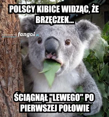 Memy po meczu Polska-Holandia