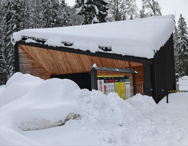 Miniatura: Schronisko w Tatrach odcięte od świata....