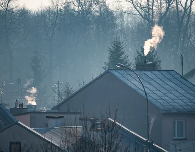 Miniatura: Dym z kominka to nie zawsze smog. Nie daj...