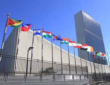Miniatura: Mocne słowa ambasador USA przy ONZ pod...
