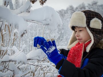 Zdjęcie ilustracyjne, dzieckо w pobliżu zaśnieżonego krzewu