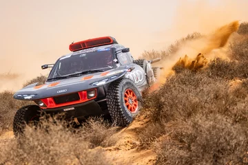 Audi RS Q e-tron 
