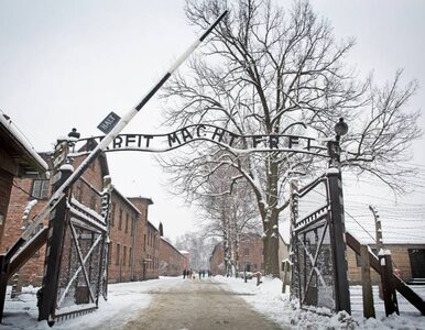 Miniatura: 27 stycznia 1945 wyzwolono Auschwitz....