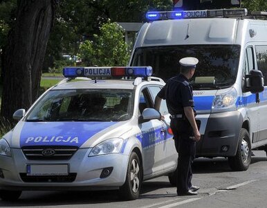 Miniatura: Policjanci i żołnierze będą pracować...