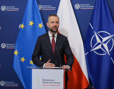 Miniatura: Ogromna inwestycja NATO także w Polsce?...