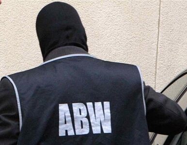 Miniatura: Nisztor: ABW i prokuratura idą po bandzie