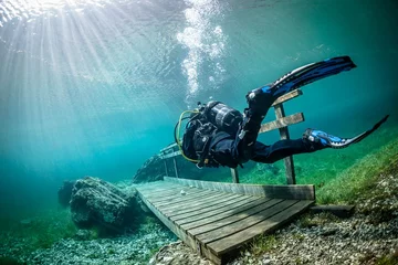 Grüner See jest siedliskiem dla pstrągów, ślimaków, wioślarek, krabów oraz czerwi. Ze względu na skaliste dno flora jest uboga, latem wody jeziora zalewają przybrzeżne łąki.