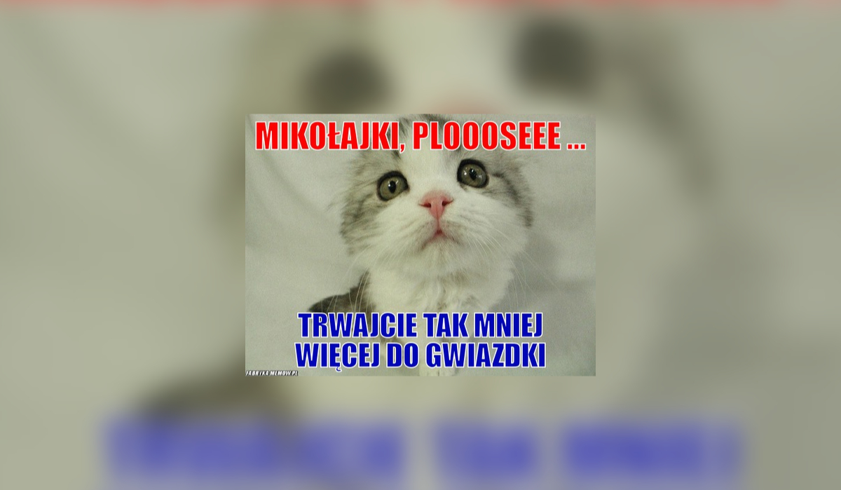 Memy z okazji Mikołajek 