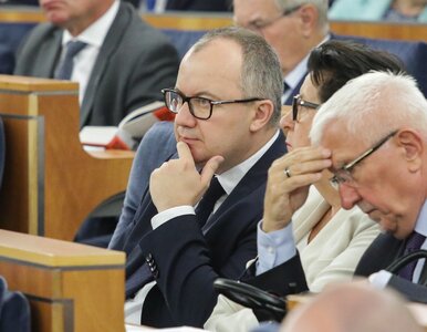 Miniatura: „Niedyskrecje parlamentarne”. To zabolało...