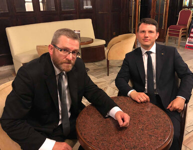 Miniatura: Rozgrywka Konfederacji z frontem...