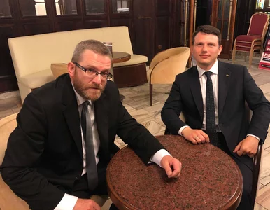 Miniatura: Rozgrywka Konfederacji z frontem...