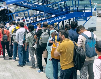 Miniatura: Kryzys taniej linii. 1000 lotów odwołanych...