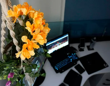 Miniatura: Quiz ortograficzny na zakończenie...