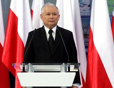 Miniatura: "Kaczyński pokazuje Europie plecy"